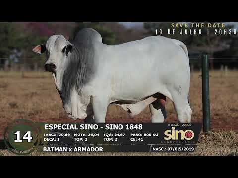 LOTE 14 SINO 1848