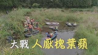 我們的島大戰人厭槐葉蘋(第1002集2019-04-29)