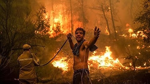 Algeria forest fires August 2022