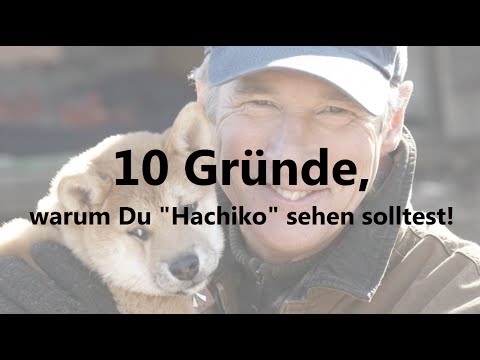 Video: Japanischer Akita Inu: Die Geschichte von Hachiko, dem treuen Hund
