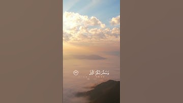 " وإن تعدوا نعمة الله لاتحصوها "  تلاوة د. عبدالله المنسلح