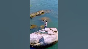 ሜዳ ሽኮር,best music❤️👌Like ሃብለይ  ንዓይ ka Sabscribe 🙏#eritreanmusic #habesha #duet #erimusic