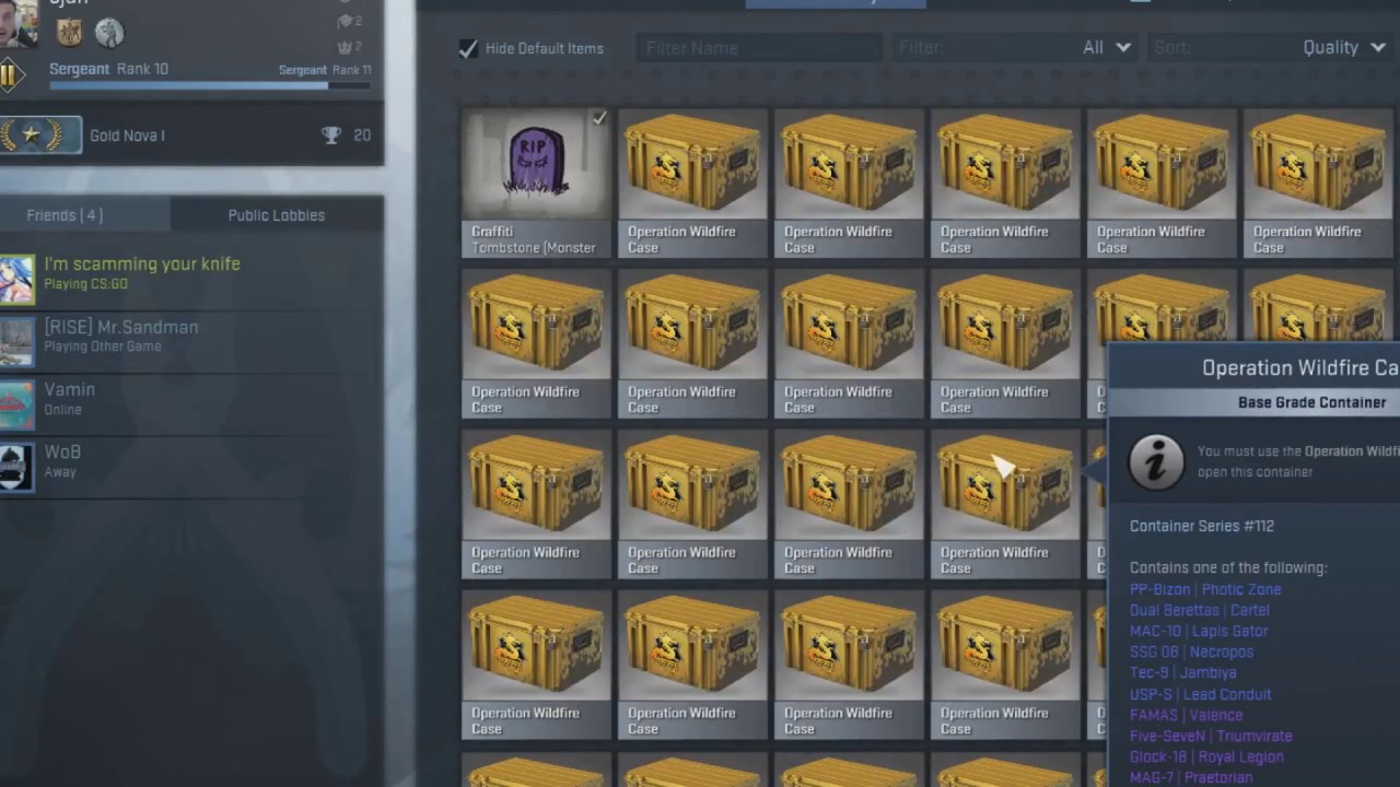 Please Valve... (CS:GO Cases History) - YouTube
