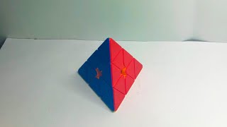 Pyraminx example solves by a sub 5 solver(l4e) Net Worth