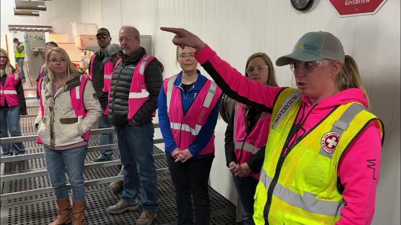 SD Member Services Group Tours Riverview Dairy YouTube