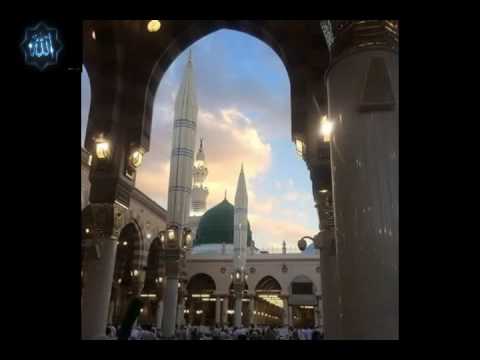 تلاوة رائعة للشيخ محمود علي حسن ماتيسر من سورة الأنبياء الأعلى البلد وسورة الضحى 