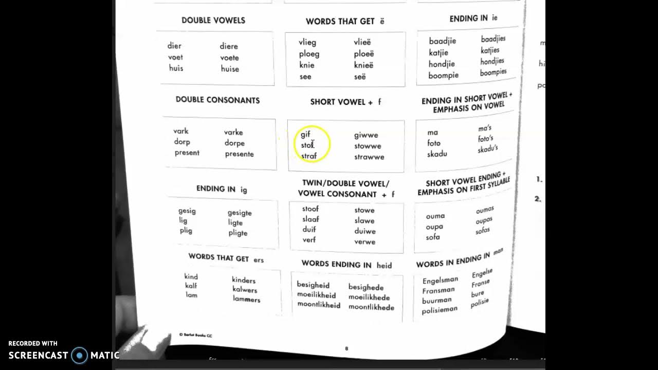 Gr 8 Afrikaans Second Language Meervoude (plurals) YouTube