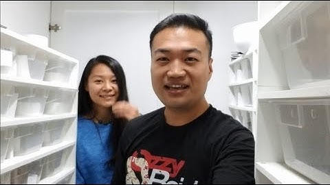 Ball Pythons: Still cutting eggs - Clutch #8