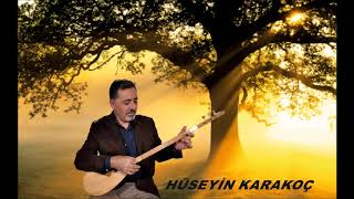 Hüseyin Karakoç-Hiç Bir Türlü Bulamadım Ben Beni Söz Müzik Aşık Veysel Resimi