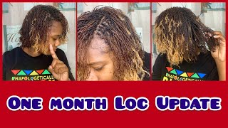 D.I.Y MICROLOCS On Fine Natural Hair //  One month update //  Pros & Cons