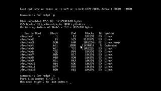 RAID - I (fdisk)