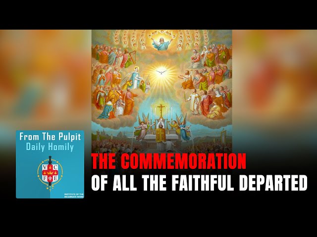 Home 6 Daily IVE Homilies, November 2nd, 2025 - Commemoration of all the Faithful Departed