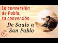 De Saulo a San Pablo. Conversión: resurrección de mi alma | Misión Ruah