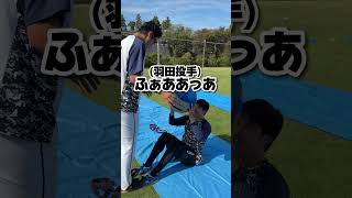 【仲良しな同期の日常】羽田投手は佐藤投手の●●になる？