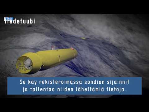 Video: Asuvatko Mustekalat Jupiterin Kuussa? Brittiläinen Tähtitieteilijä Ajattelee, Että Tämä Voi Olla Totta