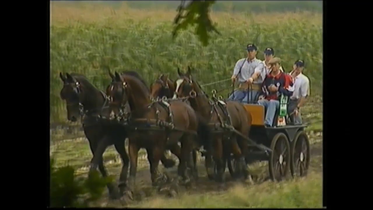 Four-in-hand driving Breda 1994 - Marathon