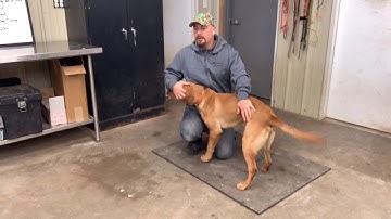 Ares Force Fetch Part 3 - Ear Pressure