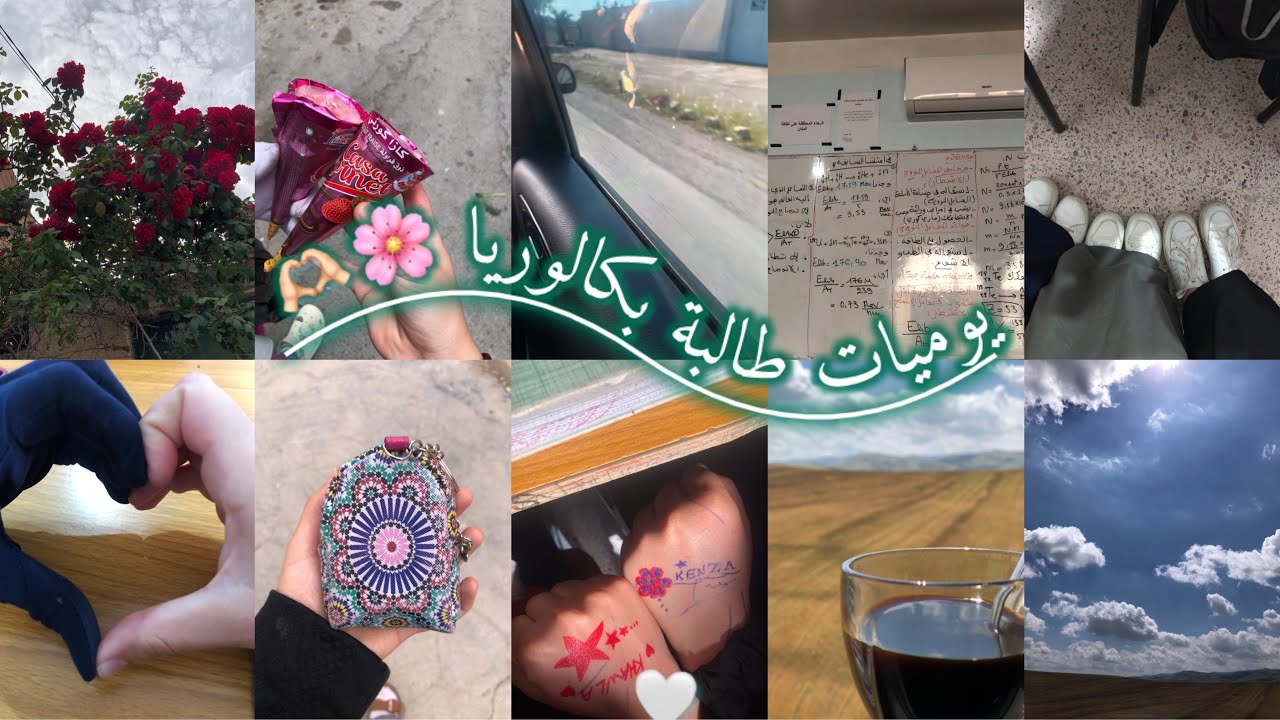 يوميات طالبة بكالوريا الحلقة 13:دراسة📚طبخ 🍕👍🏻☕️🫶🏻