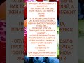 РЎРїР СЃРёР Рѕ Р Р рџ Ќ Рё РїРѕРґРїРёСЃРєСѓ вќ пёЏ РЎРїР СЃРёР Рѕ Р Р рџ Ќ Рё РїРѕРґРїРёСЃРєСѓ вќ пёЏ