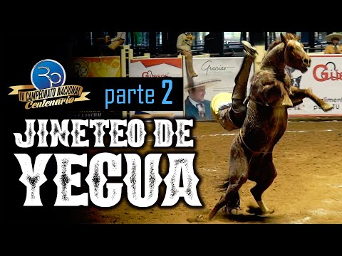 JINETEO DE YEGUA parte 2 - IV Campeonato Centenario 2020