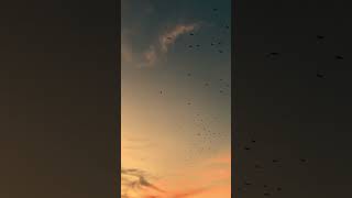 Download Lagu Cover Lagu Rasakan Hatiku  #song #lagu #cover #akustik #rasakanhatiku MP3