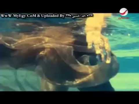 عمرو دياب كليب وياه البرومو       2009