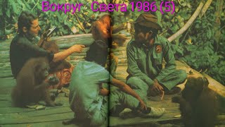 видео: Журнал Вокруг Света 1978 номер 5. Приют для лесных людей. картинка: Журнал Вокруг Света 1978 номер 5. Приют для лесных людей.
