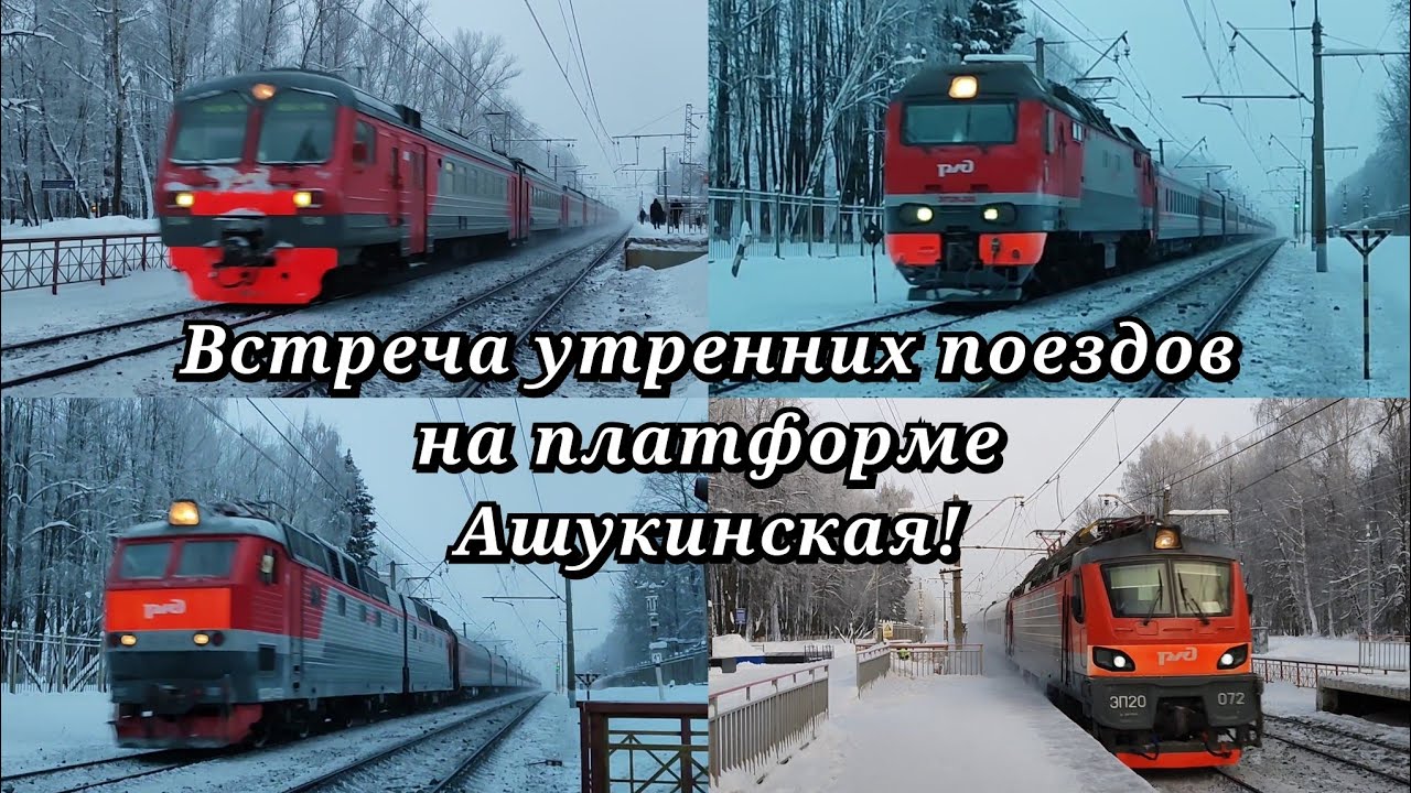 Электричка красноармейск. Расписание движения пригородных поездов. Расписание электричек черемхово иркутск. Электричка тагил азиатская. Расписание электричек ярославский до ашукинская.