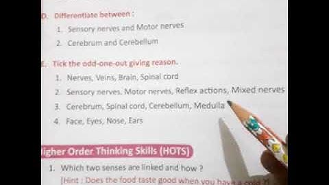 Class 5 science ch-4 exercise-D