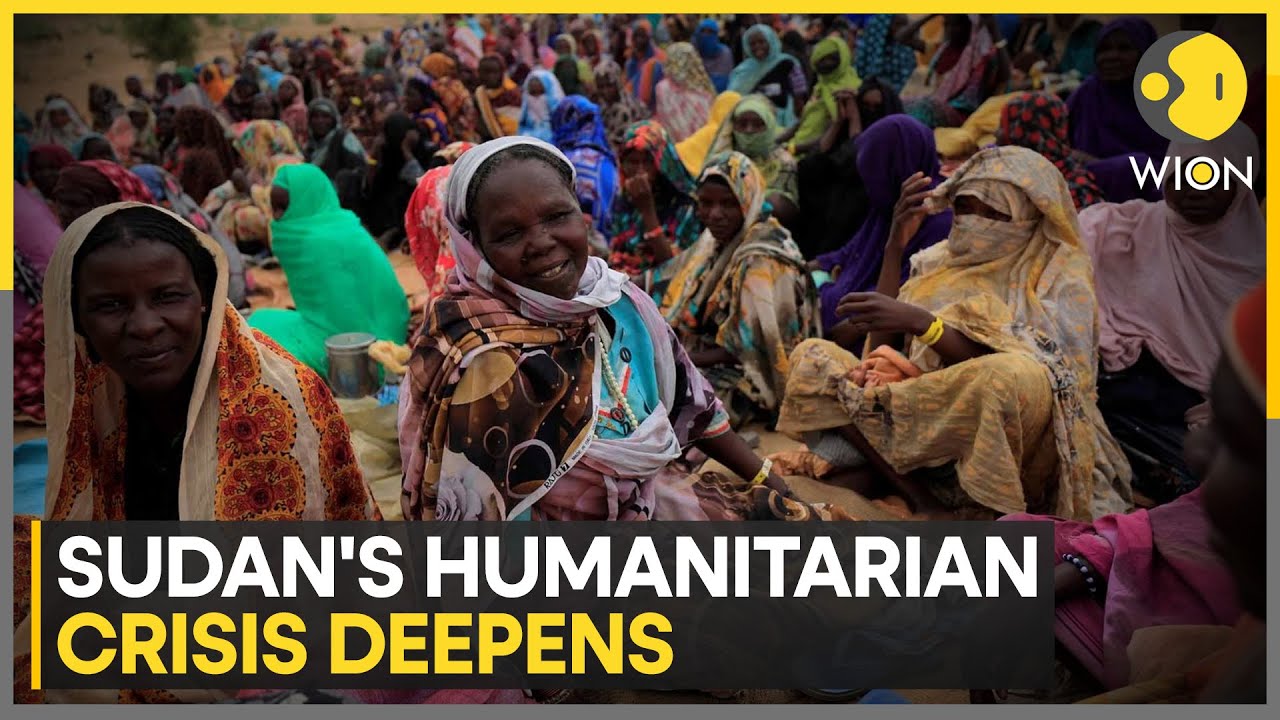 ⁣Sudan's humanitarian crisis deepens, 14 million children need support: UN | World News | WION