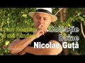 Nicole Guta - O frumoasa Colectie de doine - 2 ore