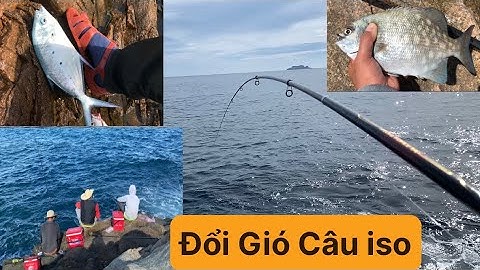 Câu Cá Biển Tự Nhiên, Câu Ghềnh, Câu Cần Iso. Cá Tà Ma, Cá Chang, Cá Nhái, Cá Dò, Cá Mú Đỏ, Cá Gáy.