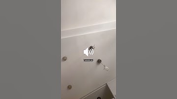 TELLY GRAVE - Snippet 29/04/21