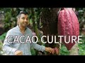 How the #Philippines got #cacao and embraced it as their own