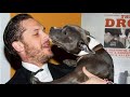 ✔️Tom Hardy with Dogs ❤🐾 / Том Харди с собаками. Одни из самых милых моментов