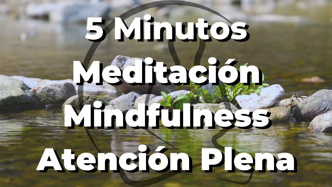 Haz ESTA Meditación Guiada 5 MINUTOS Mindfulness Atención Plena - YouTube