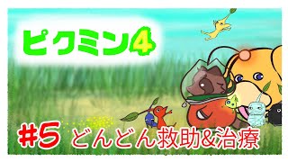 【ピクミン４】ピクミンと犬と狸５【switch】