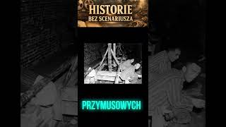 Prawda o projekcie Riese: Absurd, niewolnictwo i zaginione miliony III Rzeszy.