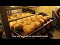 365 Days of Brötchen in Germany - expository & observational documentary