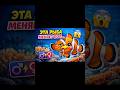 Эта рыба меняет пол… 😳🐠 #РыбаКлоун #ФактыОЖивотных #МорскаяЖизнь #Природа #Shorts