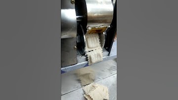 Dumpling machine samosa making machine pelmeni empanada spring roll ravioli making machine #canmax