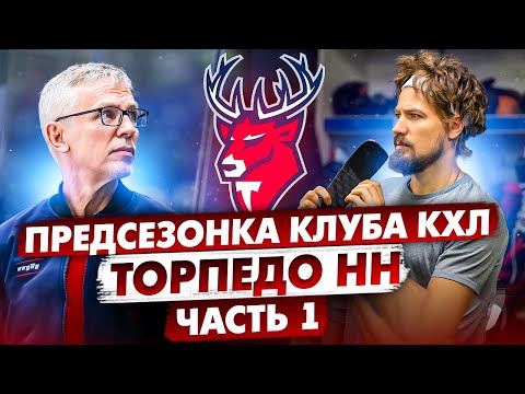 Торпедо: про базу, что едят до\\после тренировки, секретный анализ крови для восстановления | Часть 1