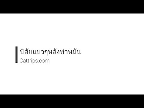 วีดีโอ: พฤติกรรมแมวเปลี่ยนไปอย่างไรหลังทำหมัน?