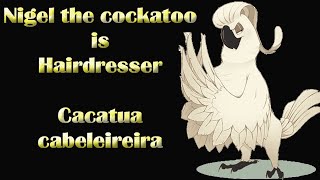 NIGEL THE COCKATOO is hairdresser - A cacatua é cabeleireira by NIGEL, THE COCKATOO and family 61 views 2 years ago 6 minutes, 49 seconds