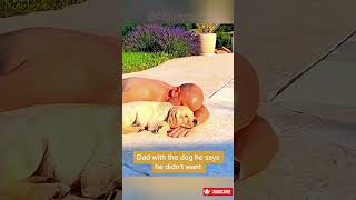 Animals Are Humans Friend