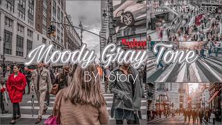 สอนแต่งรูปโทน สีเทา ด้วย Lightroom Mobile | Moody Gray Tone | Preset Free By I Story screenshot 5