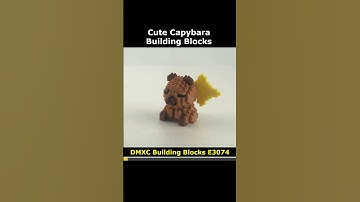 Capybara E3074 Blocks #Capybara #DMXC #E3074 #Lego #MiniBlock #NanoBlock