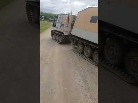 Мини витязь