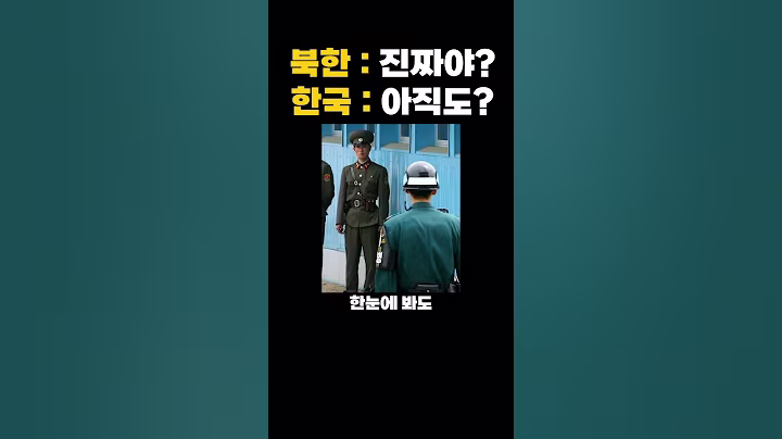 우리나라와 북한이 서로를 혼란스러워하는 이유 대혼란 파티 레전드