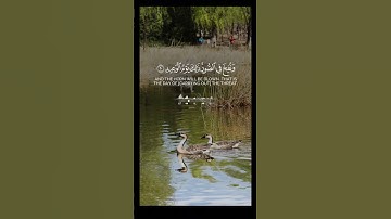 #قران_كريم #المصحف #اكسبلور #اذكروا_الله #دويتو #قران #حالات_واتس #تلاوة_خاشعة